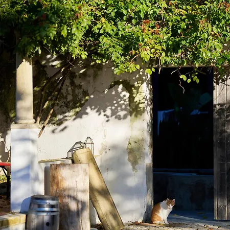 Quinta Da Boa Esperanca