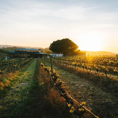 Quinta Da Boa Esperanca Bauernhof *