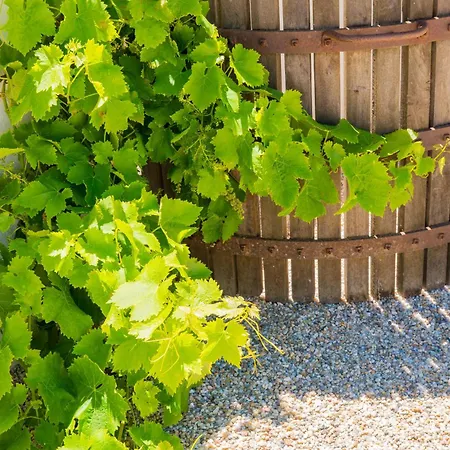 Quinta Da Boa Esperanca Bauernhof *